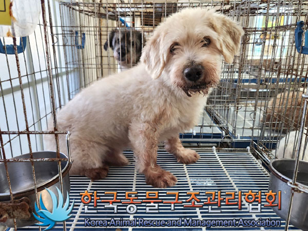 한국동물구조관리협회_411315202300534